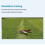 MC6C  V2 2.4G 6CH Controller Transmitter W/ Receiver Radio System for RC Airplane Drone Multirotor Helicopter Boat 6