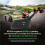 V6   Motorcycle Helmet Headset with 1500M BT Interphone Communicator for 6 Riders Waterproof 5