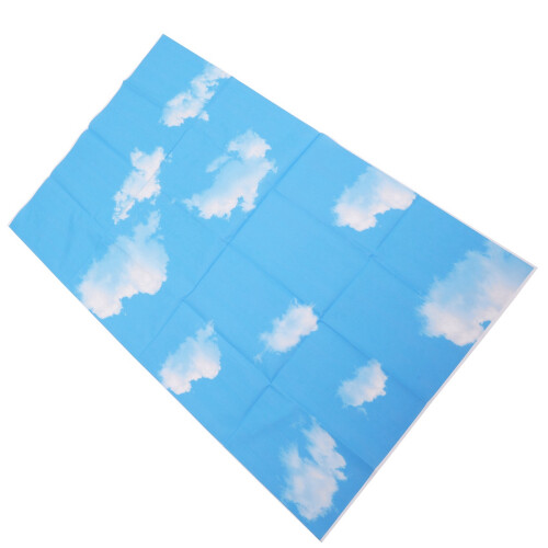 3X5Ft  Sky White Cloud Photography Backdrop Screen Background Studio Props & 3X5Ft Summer Seaside Beach