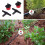 200 Adjustable Irrigation Drippers with Drip Irrigation Kit for Garden Watering Fitting 2