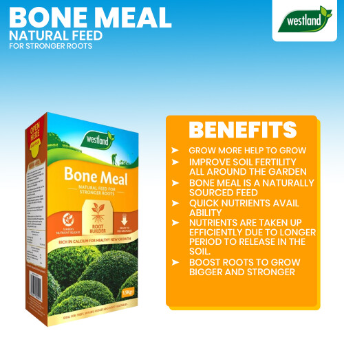 Westland Westland Bonemeal Root Builder 1.5kg Fertiliser 2
