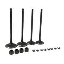 Engine Exhaust Valves Inlet Intake Stem Kit for BAJAJ 200NS NS200 AS200 RS200 Rouser 200 Motorcycle Accessories