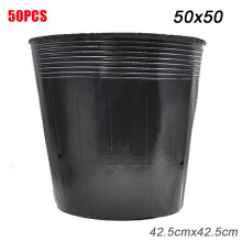 (50X50) Sturdy Plastic Plant Holder for Home & Office