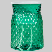 (Green) Self-Watering Clear Flower Vase for Indoor Decor