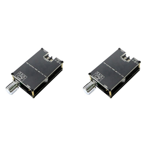 100W  Audio Amplifier Board Module Mono Digital Power Amplifier Board with TWS for Home Theater,2Set