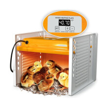 Chick Brooder Heating Plate Chicken Brooder Heater with Adjustable Height and Angle, Digital Temperature Control EU Plug