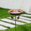 Garden Bird Bath Feeder - Outdoor Decor 5