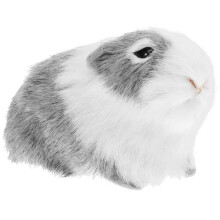 Cochon D'Inde en Peluche, Poupée Animale en Peluche, Modèle de Hamster Réaliste, Modèle de Cochon D'Inde pour L'Éducation, Petit Cadeau