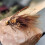(Dark brown five-piece) Woolly Bugger Trout Lures with Sharp Hooks 4