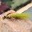 (Five olive pieces) Woolly Bugger Trout Lures with Sharp Hooks 4