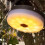 LED Rechargeable Camping Light,10 Meter Recyclable Rolling String Light Waterproof,Tent Decor Atmosphere Light 5