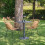 Pack 2 sillas de exterior Zaza 2