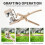 Grafting Tools for Fruit Trees Garden Grape Vine Graft Tool Cutter Pruning Plant Cut Floristry Seedle Shear 4