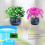 Rechargeable Automatic Watering System for 12 Pots 2000mAh 5