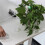 T-Higrow MCU32 WiFi  DHT11 Development Board Soil Testing Module Electrolyte  Wireless Control 5