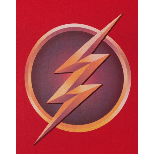 DC Comics DC Comics The Flash Short Sleeved T-Shirt (Boys Red) 2