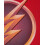 DC Comics DC Comics The Flash Short Sleeved T-Shirt (Boys Red) 4