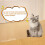 Carpet Protector for Pets,Cat Carpet Protector ,Under Door Mat Cat Carpet Scratch Stopper,Cat Scratch Guard Carpet 3ft 4