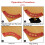 R100-R300 Radius Jig Woodworking Router Templates Arc Angle Positioning Template Corner Radius Reusable Positioning Tool 3