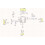 MT6701QT Magnetic Encoder Magnetic Induction Angle Measurement Sensor Module 4 Communication Interface Replace AS5600 8