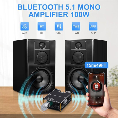 2Pack 1001B  Amplifier Board, 100W Mono AMP  Audio Power Amplifier Module with Box Matching 1