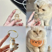 Pet Hair Storage Box Transparent Keepsake Container for Cat Fur DIY Decoration Memorial for Pet Lovers Display,B