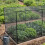 Oypla Oypla 2m Garden Fruit Vegetable Protective Cage Netting 3