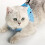 Pour Animaux Avec Confortable 3