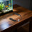 Mini USB Aquarium Heater Black ABS Compact Betta Fish Tank Warmer 6