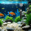 Mini USB Aquarium Heater Black ABS Compact Betta Fish Tank Warmer 7