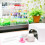 10Pièces Ongles Vides Rechargeables Plastique Multi Usage 5