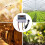 2Pcs XH-W3001 Digital Temperature Controller with Sensor AC110V-220V Thermostat Temperature  Heating Cooling 4