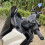 Motorcycle Navigation Bracket Phone Holder for  NMAX 155 NMAX155 V3 Nmax155 2025 2