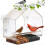 Plastic Window Bird Feeder Anti-Drop Hut 12