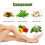 36pcs Varicose Vein Patch – Fat Burning, Anti-Inflammatory, Circulation 3