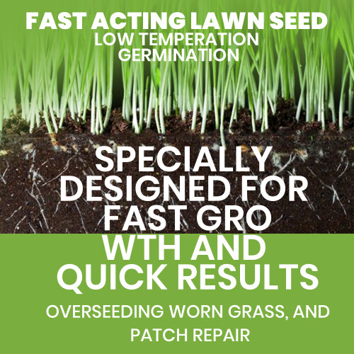 Gro-Sure Fast Acting Lawn Seed 80m² 2.65kg 2