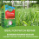 Gro-Sure Fast Acting Lawn Seed 80m² 2.65kg 4