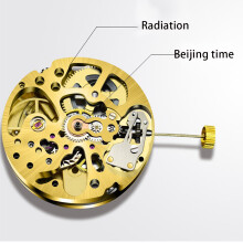 Gouden Skelet 2004 Beweging Gewone Slingeraanpassing Stralingspatroon Volautomatisch Uurwerk
