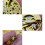 Gold Skeleton 2004 Movement Ordinary Pendulum Adjustment Radiation Pattern Fully Automatic Watch Movement 9