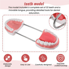 ModèLe de Bouche de Dents 6X Agrandi avec CharnièRe en MéTal, Ensemble Complet de Dents et Langue Amovible, Outil D'Orthophonie en PVC