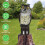 Lifelike owl decoy with rotatable head, 1 piece 1