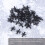 Fake Ants Simulation Ant Prank Plastic for Adults 100pcs 2