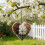 2PCS Decorative Bird Nesting Materials Dispenser Nesting Heart 3