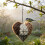 2PCS Decorative Bird Nesting Materials Dispenser Nesting Heart 4