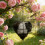 Unique Heart Shape Bird Nesting Materials Organizers Metal 2
