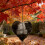 Unique Heart Shape Bird Nesting Materials Organizers Metal 4