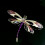 Dragonfly broche krystal rhinsten dame mode nål 5