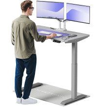 (120x60cm, Grey/Grey) Standing desk Desktronic HomeOne - 120x60cm - Height adjustable - Electric - Double engine - Smart control