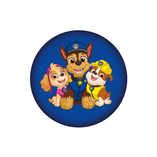 Paw Patrol Paw Patrol Squad Filled Cushion