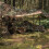 SCHLAFSACKHULLE MODULAR 3 LG LAM OLIVE 2